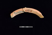 陶罐藏品圖，第2張